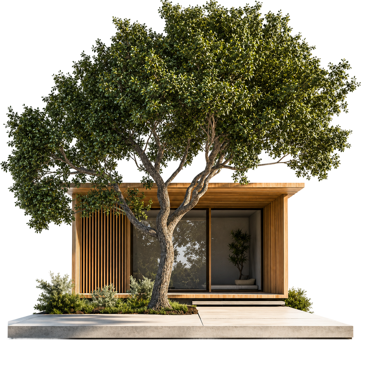 Build a Deck - Plant a Tree