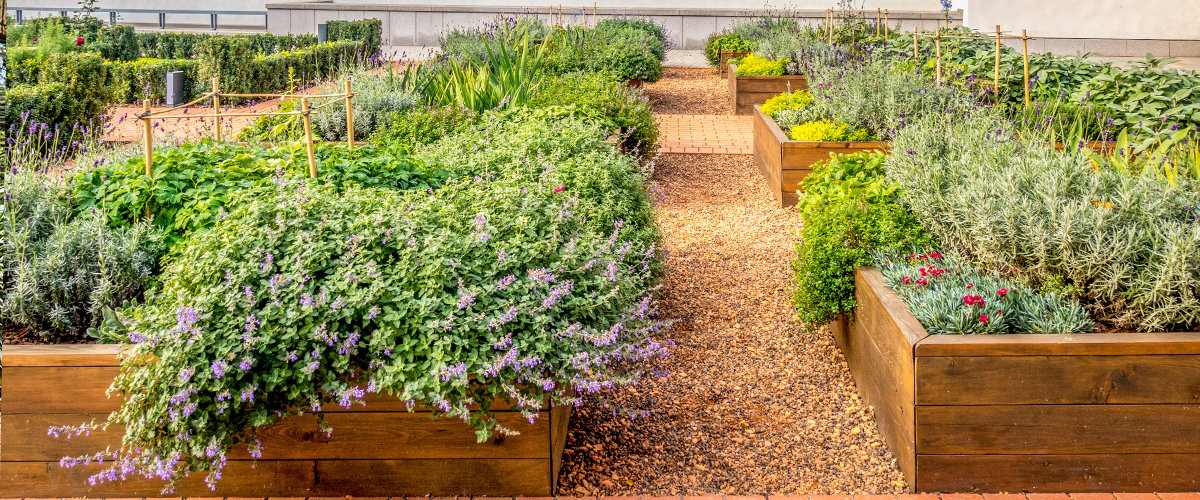 Raised flower garden.