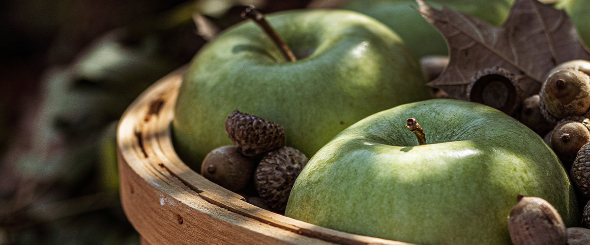 Green apples and pinecones in a basket