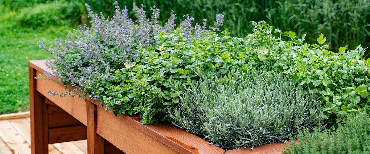 Flower garden bed raised on deck