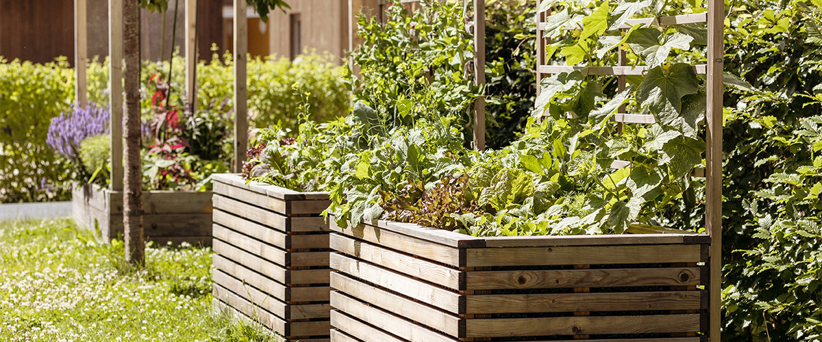 Raised garden bed with trellis