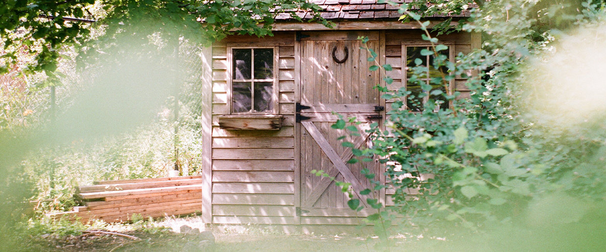 Backyard shed