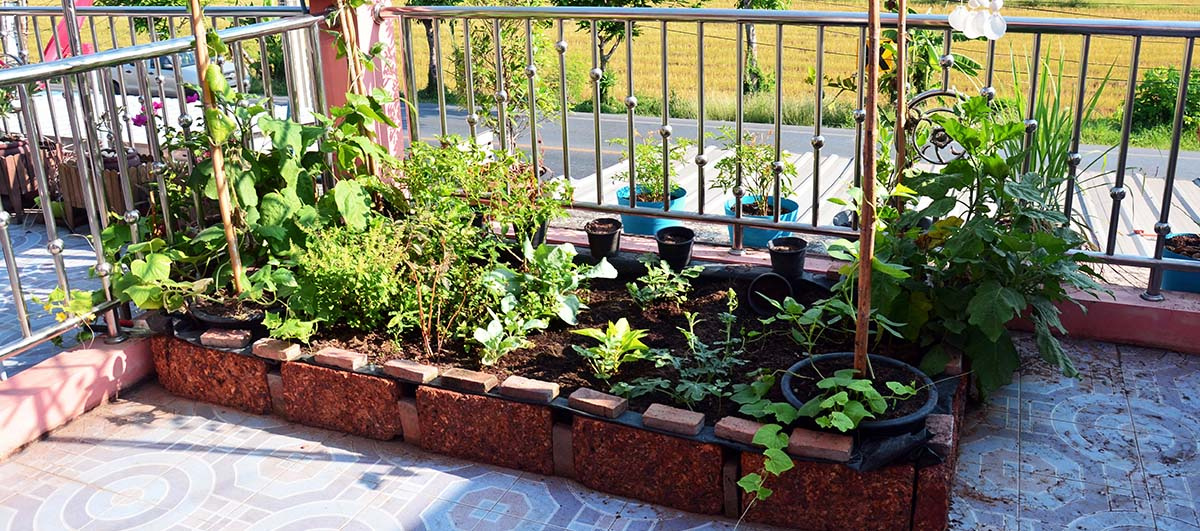raised garden bed in a terrace
