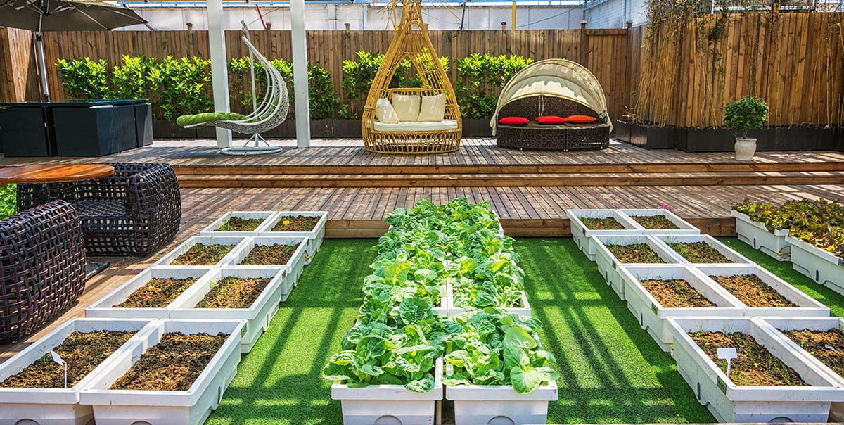 modern garden and outdoor living space
